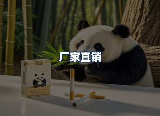 专业团队办公环境